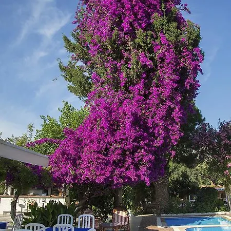 Club Antiphellos Kaş