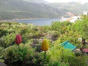 Club Antiphellos Каш