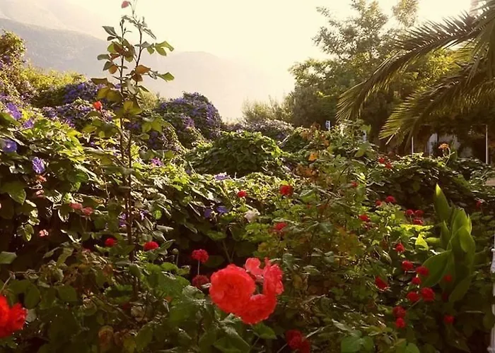 Hotel Club Antiphellos 3*