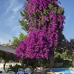 Club Antiphellos קס