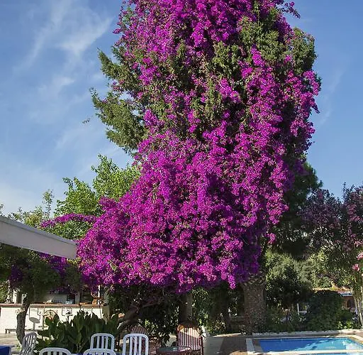 Club Antiphellos Κας