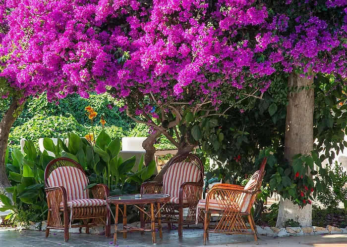 Ξενοδοχείο Club Antiphellos